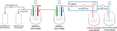 Continuous crystallisation of organic salt polymorphs